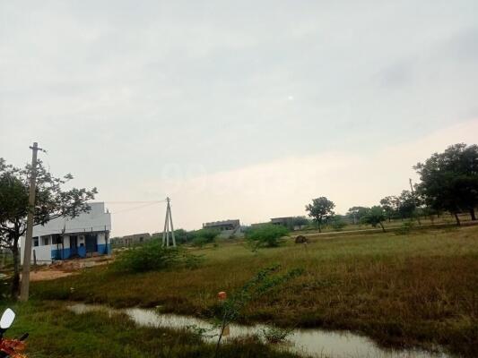 Residential Land Plot For Sale In Renigunta Tirupati Sq Yard