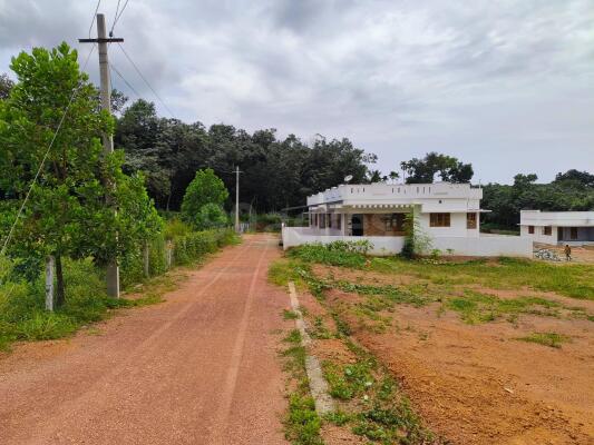 East Facing Plots In Amballur Ernakulam 1 East Facing Land Plots