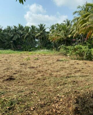 Freehold Plots In Veliancode Malappuram Freehold Land Plots For