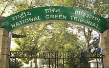 NGT halts illegal construction in Noida