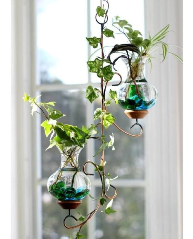 Indoor water plants decoration ideas for house