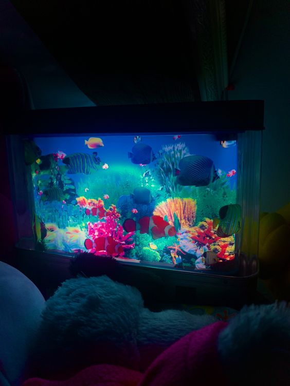 20 Aquarium Lighting Ideas