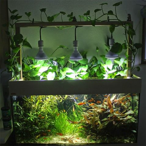 Fish tank fluorescent tubes cheap
