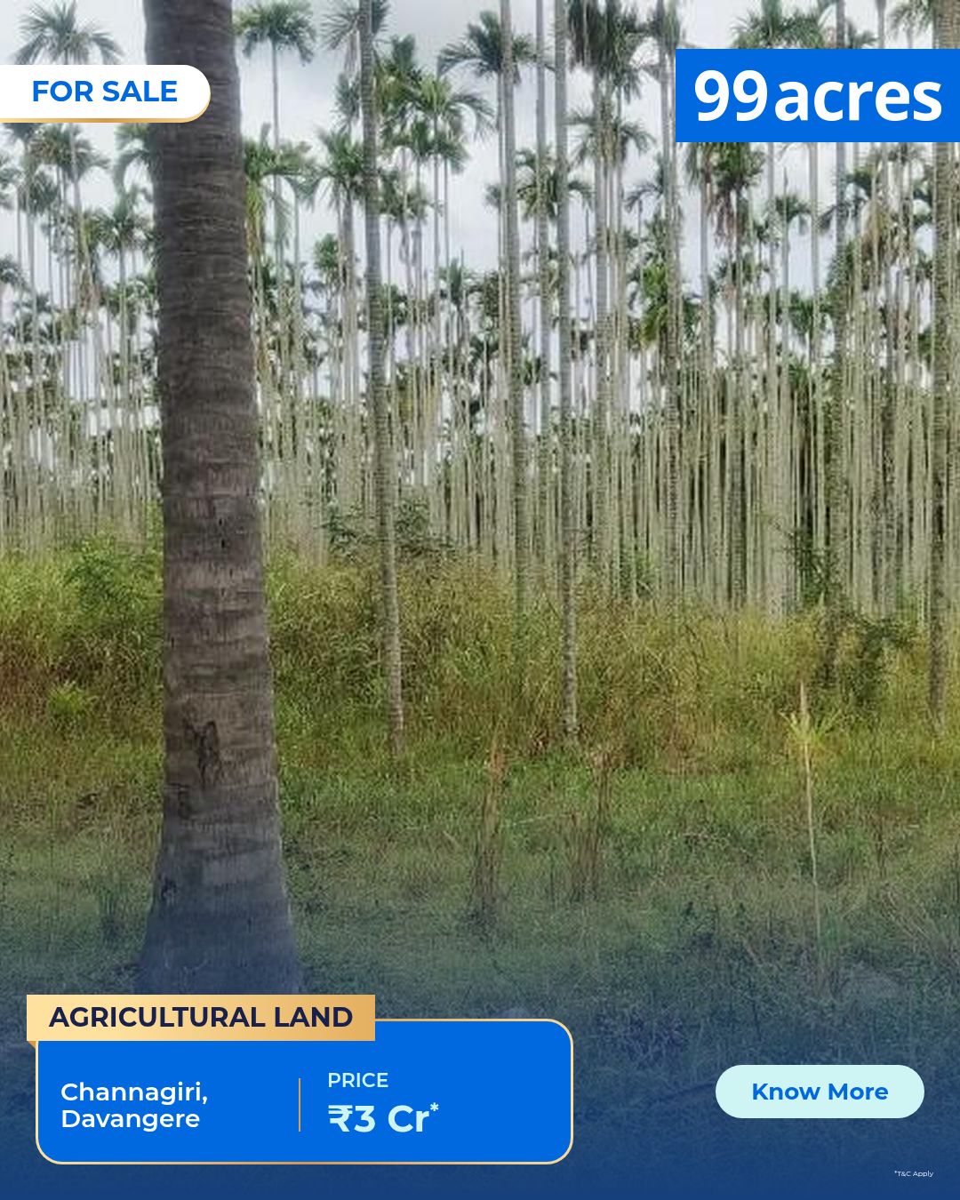 Agriculture / Farm land for sale in Channagiri Davangere - 15101 Sqyd