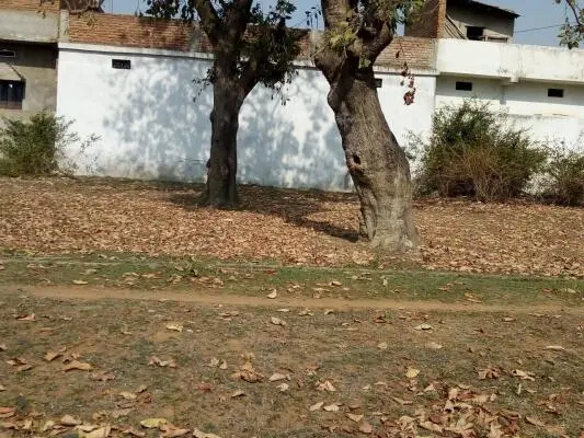Gated Community Plots in Burhar Shahdol - Properties