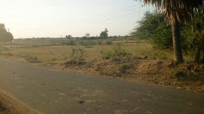 Agriculture / Farm land for sale in Walajabad Kanchipuram - 14520 Sq. Yard.