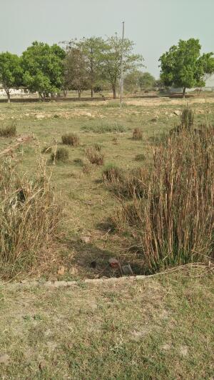 ₹10 Lac, Land/Plot in Dadri - Land