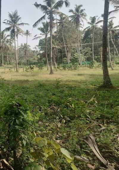 Residential land / Plot for sale in Mavelikara Alappuzha - 1 Sq. Yard.