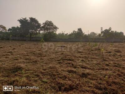 Agriculture / Farm land for sale in NEAR ODISHA ADARSHA VIDYALAYA ...