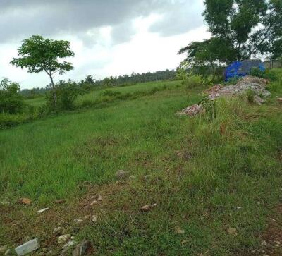 Freehold Plots in Thrippunithura, Ernakulam - 17+ Freehold Land/ Plots ...