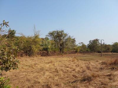 Residential plots for sale near Chef Fernandes' Nostalgia, Raia, South ...