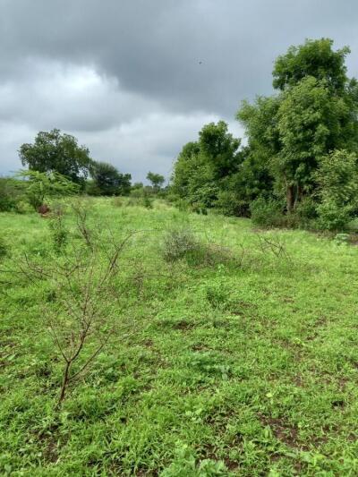 Agriculture / Farm land for sale in Manerajuri Sangli - 11253 Sq. Yard.