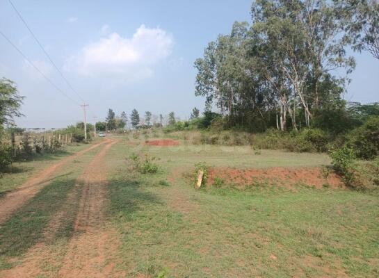 Agriculture land for sale in Kinathukadavu Coimbatore - Farm land for ...