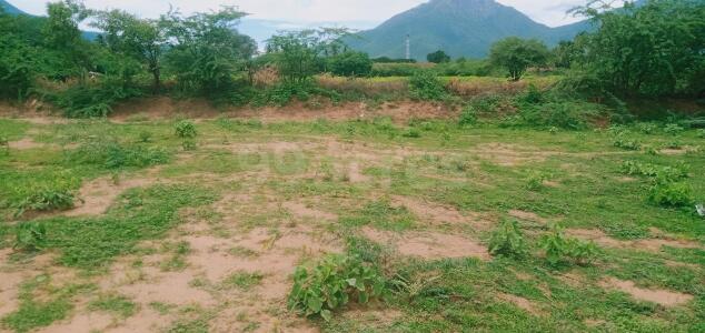 Agriculture / Farm land for sale in Chinnathadagam Coimbatore - 9680 Sq ...