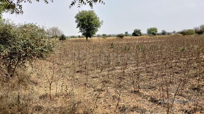 Agriculture Land For Sale In Wanadongri Ct Nagpur - Farm Land For Sale 