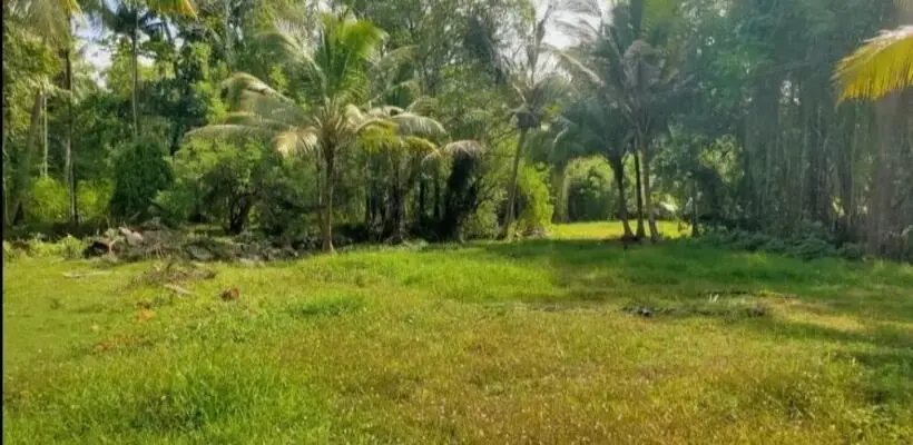 Property in Chempu Kottayam - Real Estate in Chempu Kottayam