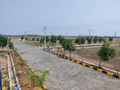 Residential land / Plot for sale in Lam Guntur - 183 Sq. Yard.