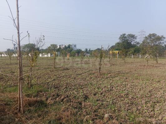 Agriculture / Farm land for sale in Malles Poonamallee Poonamallee ...