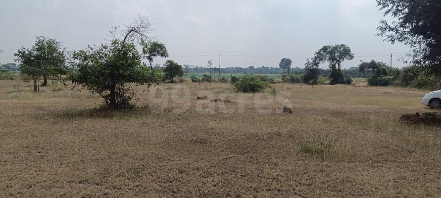 Agriculture / Farm land for sale in Bogapura Chamarajanagar - 4598 Sq ...