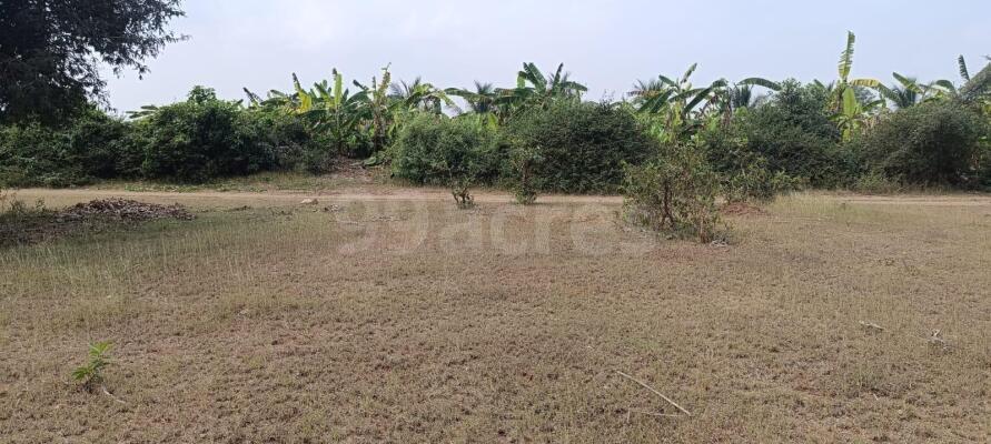 Agriculture   Farm Land For Sale In Bogapura Chamarajanagar - 4598 Sq 