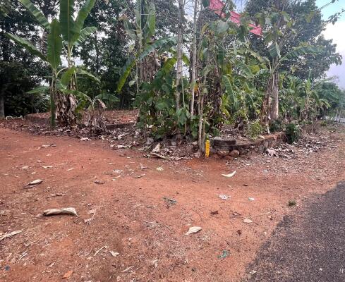 Residential land / Plot for sale in Konni Pathanamthitta - 5614 Sq. Yard.