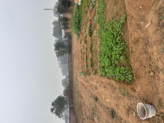 Land On Rent Commercial / Institutional land for rent in Sector 89 Gurgaon - 2222 Sq ...