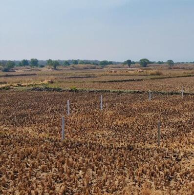 Residential land / Plot for sale in Panvel Navi Mumbai - 121 Sq. Yard.