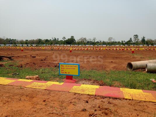 Residential land / Plot for sale in Chelluru Visakhapatnam - 150 Sq. Yard.