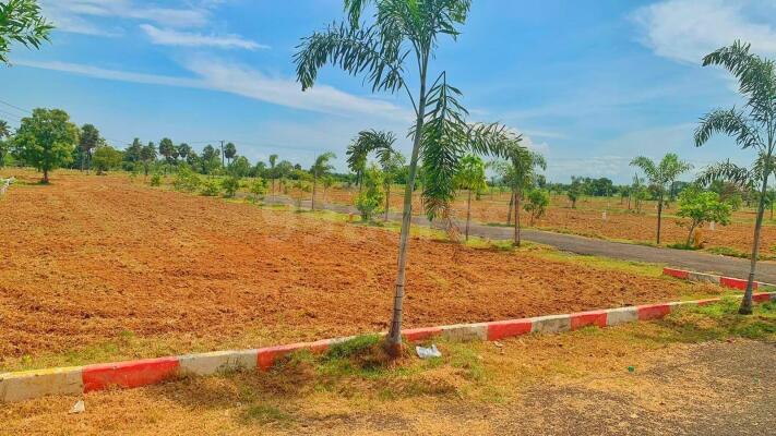 East Facing Plots in Bharathiyar Nagar Chengalpattu - 1+ East Facing ...