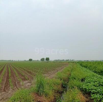 East Facing Plots in Siripuram Guntur - East Facing Land / Plots for ...