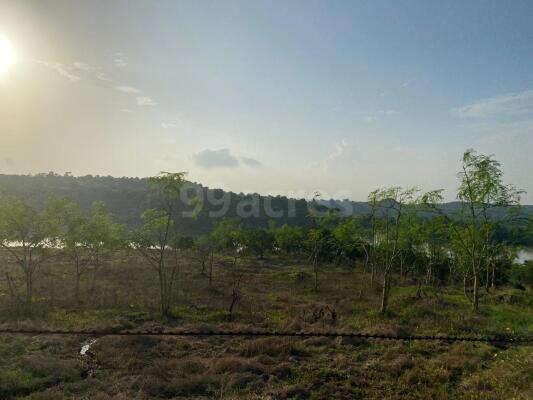 Residential land / Plot for sale in Panvel Navi Mumbai - 1452 Sq. Yard.