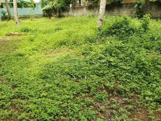 ₹80 Lac, Land/Plot in Varkala - Land