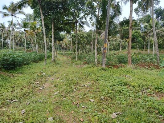 ₹50 Crore, Land/Plot in Maranalloor - Land