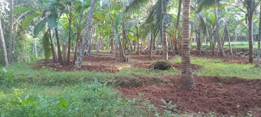 Plots for sale in Edacheri Calicut - 2+ Residential Land / Plots in ...