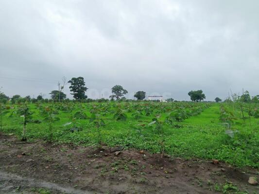 Agriculture Land For Sale In Wanadongri Nagpur - Farm Land For Sale In 