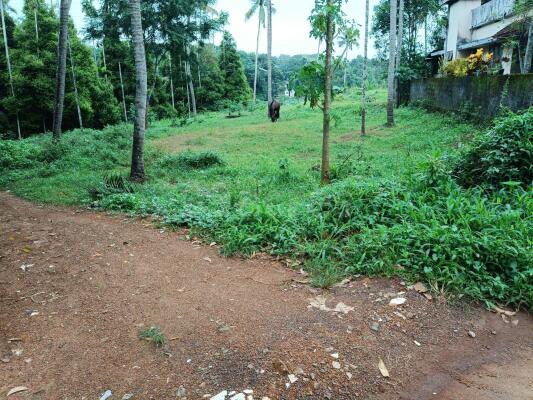 Edathala East Facing Plots in Edathala Ernakulam - East Facing Land / Plots for ...