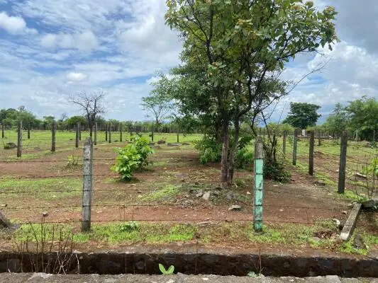 Roha Rawa Rwp Gated Community Plots in Roha Raigad - 5+ Properties
