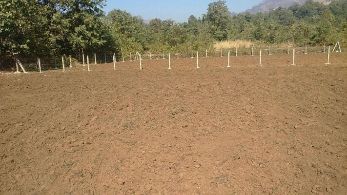 Residential land / Plot for sale in Chirner Navi Mumbai - 2222 Sq. Yard.