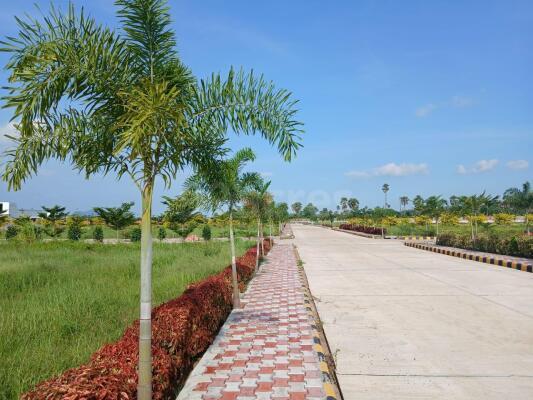 Residential land / Plot for sale in Chelluru Visakhapatnam - 220 Sq. Yard.