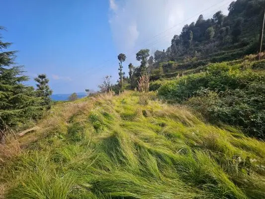 kanatal holiday packages