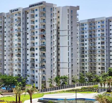 L&T Olivia (premium)