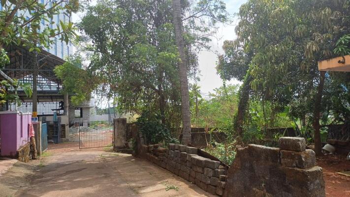 3 Bedroom House in Infopark, Kochi 4