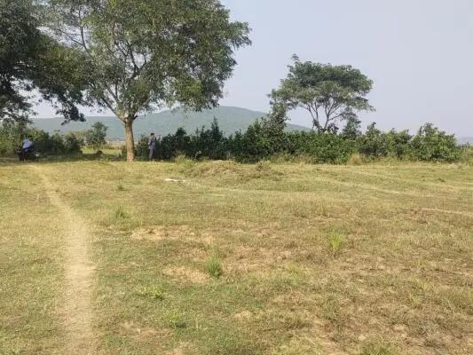 Agriculture land for sale in Cuttack - Farm land for sale in Cuttack