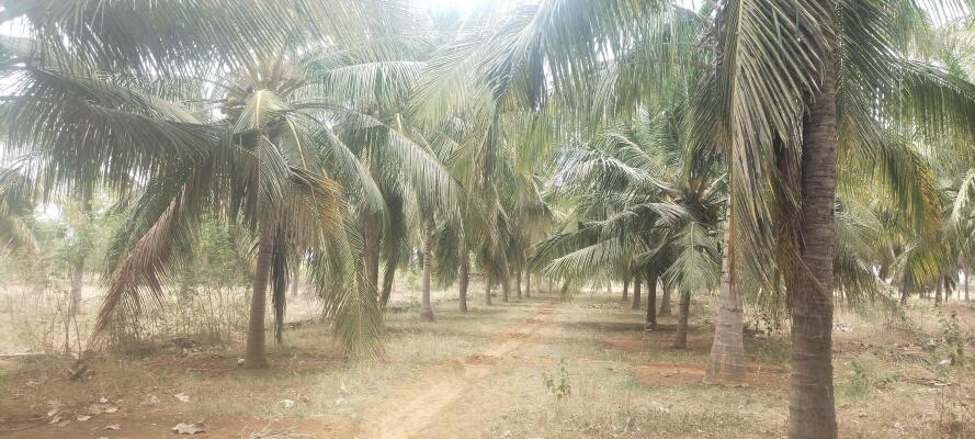 Residential land / Plot for sale in Radhapuram Tirunelveli - 19360 Sq ...