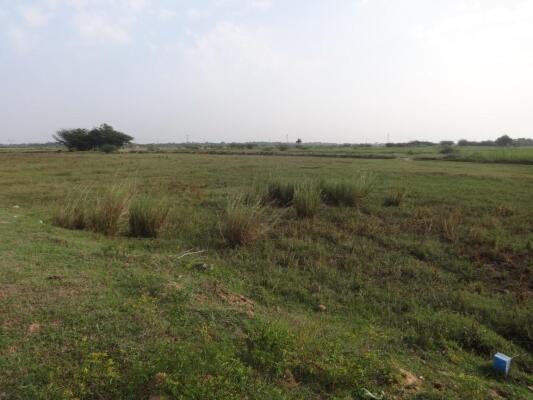 ₹25 Lac, Land/Plot in Thiruvalangadu - Land