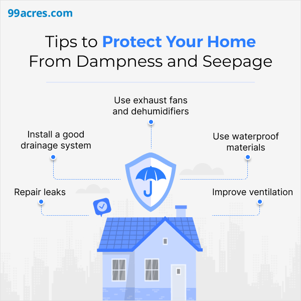 How to protect your home against dampness and seepage?