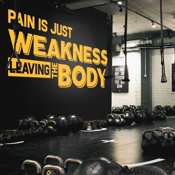 30+ Gym Interior Designs: Tips for Colours, Accessories